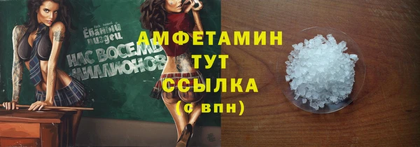 СК Алексин