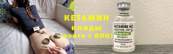 СК Алексин
