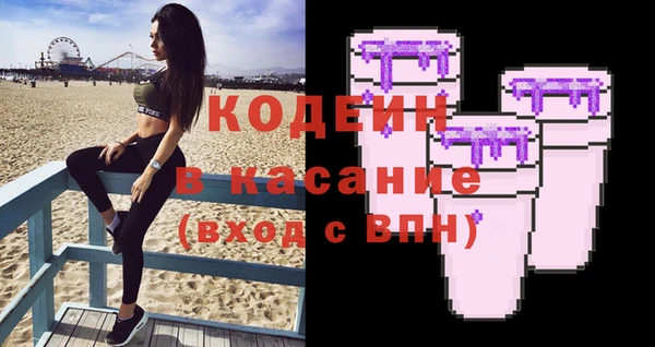 хмурый Абаза