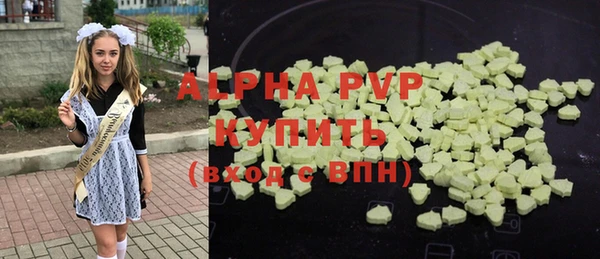 хмурый Абаза