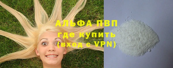 СК Алексин