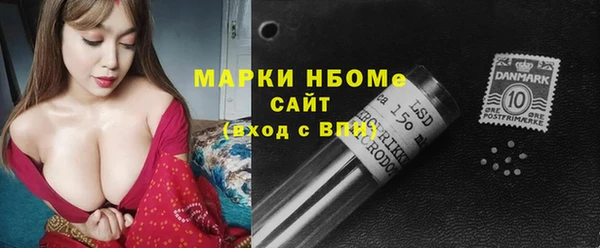 СК Алексин